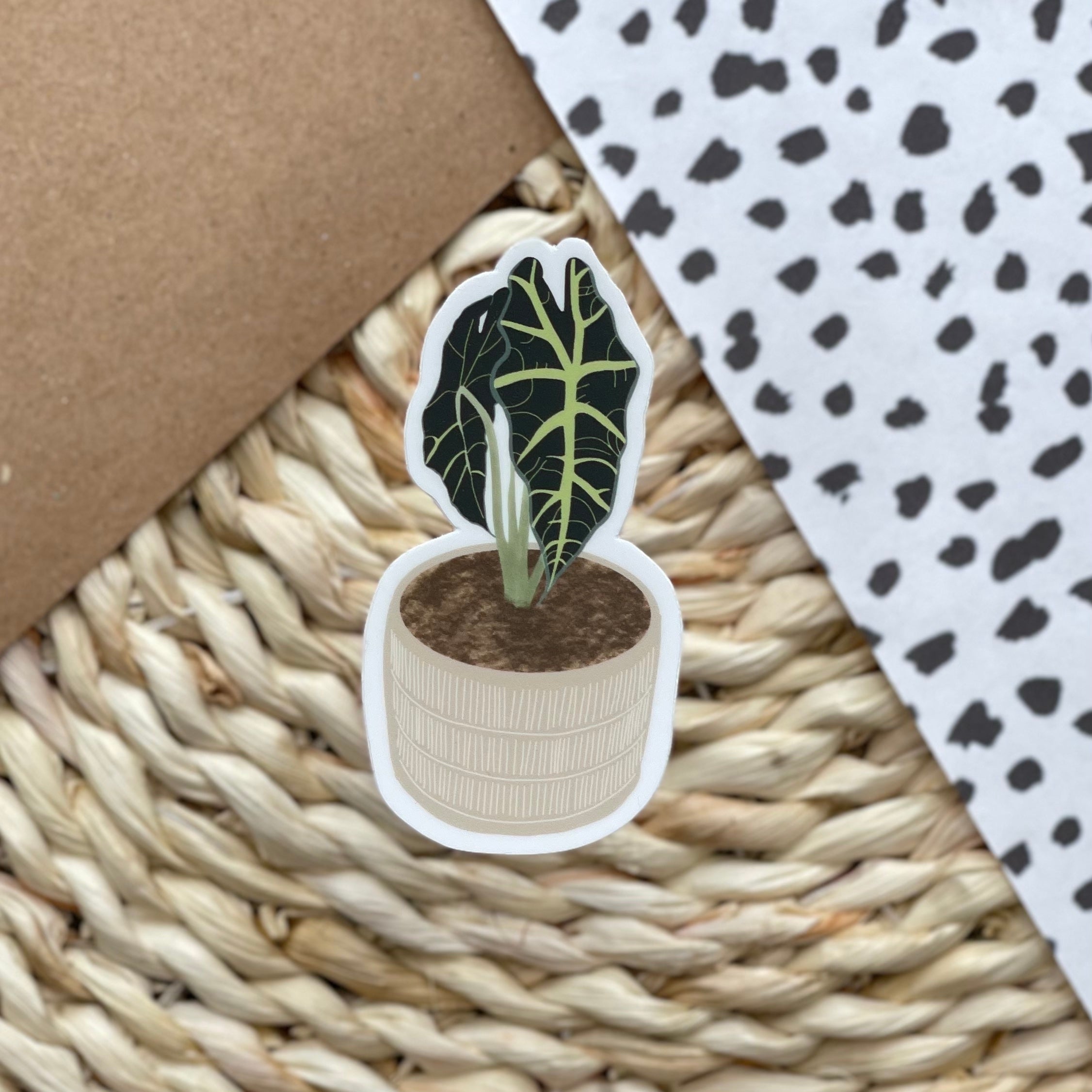 Alocasia Polly Plant | Waterproof Sticker